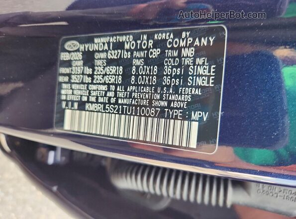 KM8RL5S21TU110087 2026 HYUNDAI PALISADE Blue Widok naklejki z numerem VIN