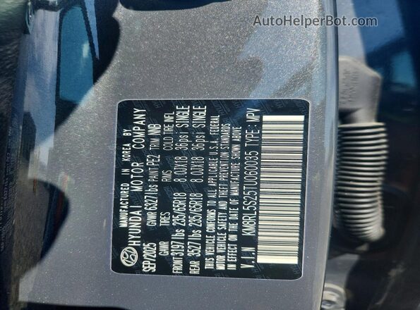 KM8RL5S25TU060035 2026 HYUNDAI PALISADE Gray 