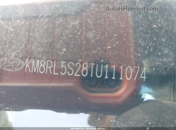 KM8RL5S28TU111074 2026 HYUNDAI PALISADE Черный Вид подкапотного пространства