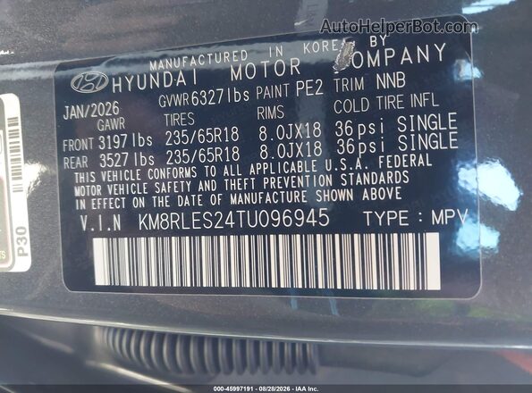 KM8RLES24TU096945 2026 HYUNDAI PALISADE Gray ძრავის განყოფილების ხედი