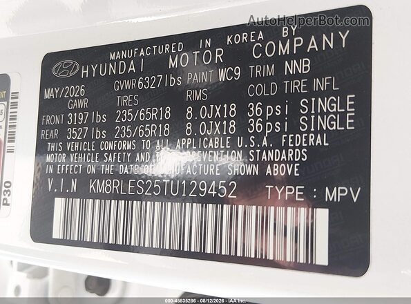 KM8RLES25TU129452 2026 HYUNDAI PALISADE White Widok komory silnika