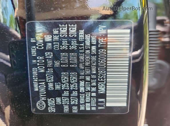 KM8RLES28TU060109 2026 HYUNDAI PALISADE Black Панорамний вид салону 360°