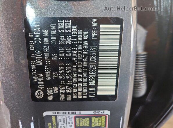 KM8RLES29TU085181 2026 HYUNDAI PALISADE Серый Панорамный вид салона 360°
