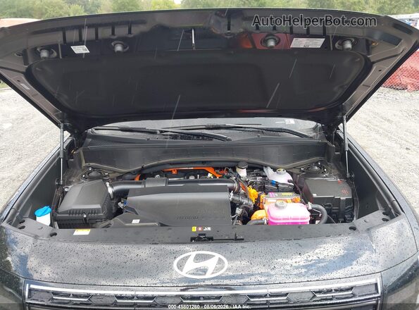 KM8RM5SA7TU064401 2026 HYUNDAI PALISADE HEV Black Widok z tyłu