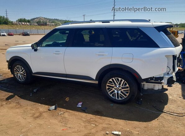 KM8RNES23TU089902 2026 HYUNDAI PALISADE White Հետևի ձախ
