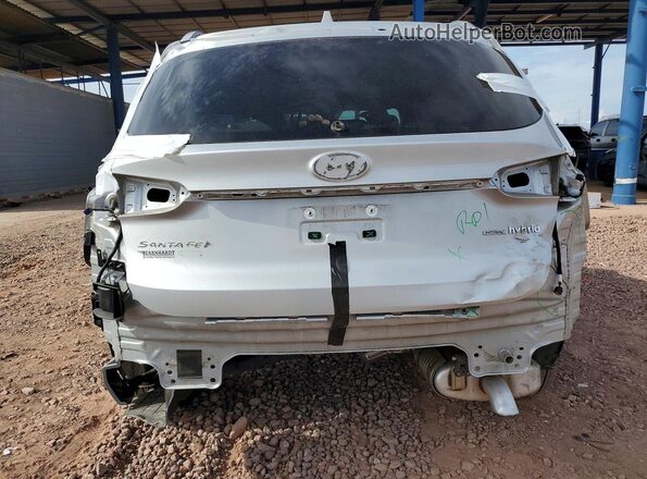 KM8S2DA12NU053344 2022 HYUNDAI SANTA Серебряный Вид сзади