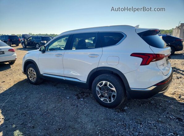 KM8S2DA14MU010476 2021 HYUNDAI SANTA White Հետևի ձախ