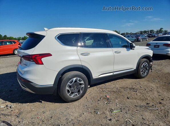 KM8S2DA14MU010476 2021 HYUNDAI SANTA White Հետևի աջ