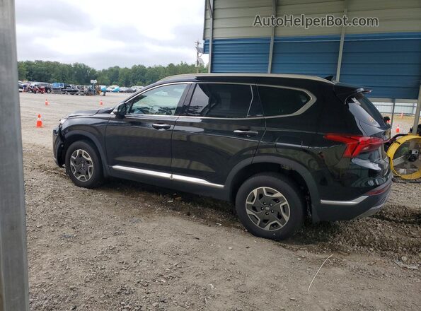 KM8S2DA15NU028065 2022 HYUNDAI SANTA Black Задня ліва чверть