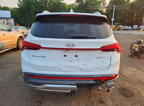 KM8S3DA13NU039613 2022 HYUNDAI SANTA White Widok z tyłu