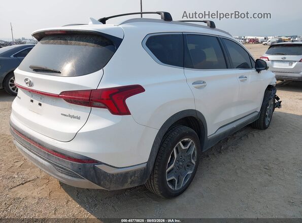 KM8S5DA16NU036506 2022 HYUNDAI SANTA FE HYBRID Белый Задняя правая четверть
