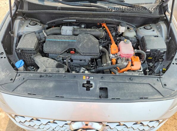 KM8S5DA18MU011783 2021 HYUNDAI SANTA Серебряный Вид задней части салона