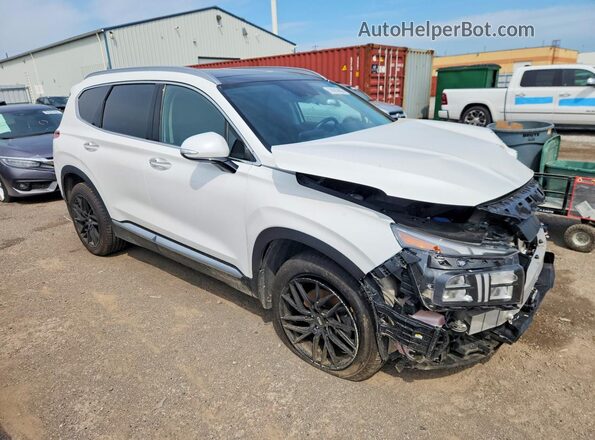 KM8S5DA18PU066206 2023 HYUNDAI SANTA White Передня права чверть