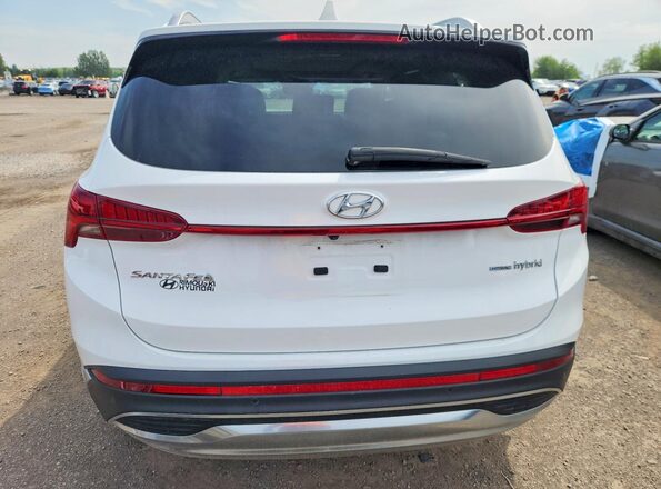 KM8S5DA18PU066206 2023 HYUNDAI SANTA White Вид ззаду