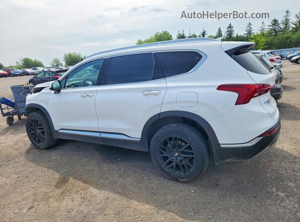 KM8S5DA18PU066206 2023 HYUNDAI SANTA White Задня ліва чверть