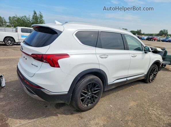 KM8S5DA18PU066206 2023 HYUNDAI SANTA White Задня права чверть