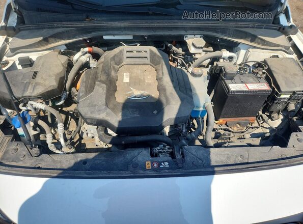 KMHC05LJ1LU059646 2020 HYUNDAI IONIQ White Սալոնի հետևի տեսք