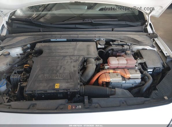 KMHC65LC2LU220280 2020 HYUNDAI IONIQ HYBRID White უკანა ხედი