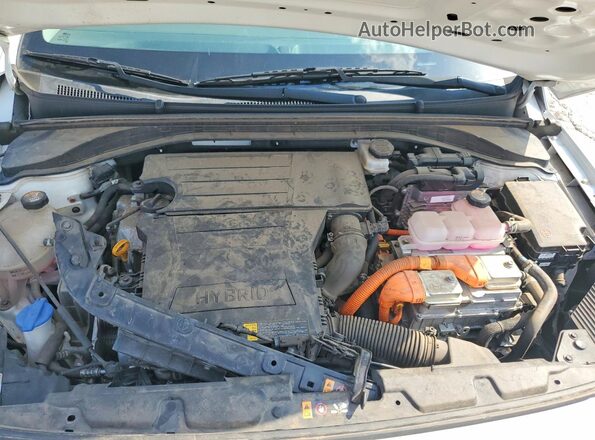 KMHC65LC3MU250180 2021 HYUNDAI IONIQ White Սալոնի հետևի տեսք