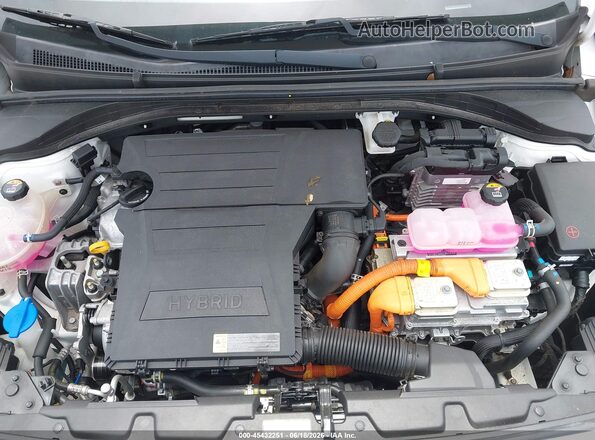 KMHC65LC8LU233311 2020 HYUNDAI IONIQ HYBRID White Rear view