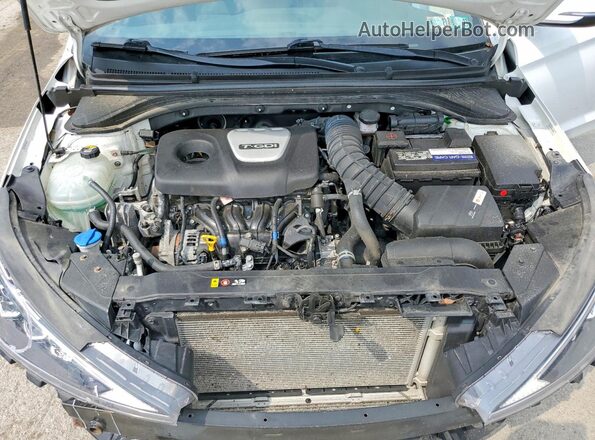 KMHD04LB8KU814586 2019 HYUNDAI ELANTRA Белый Вид задней части салона