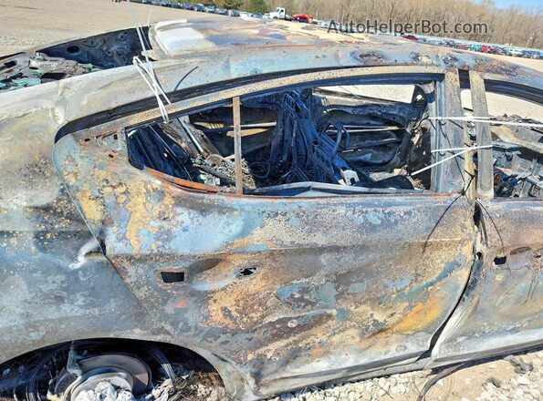KMHD84LF1KU794449 2019 HYUNDAI ELANTRA Burn Vista de los asientos traseros