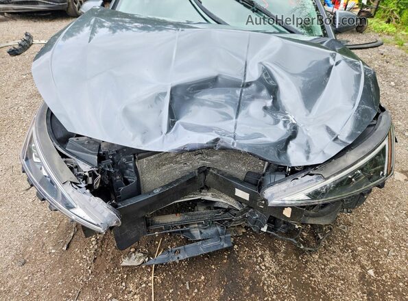 KMHD84LF6LU001731 2020 HYUNDAI ELANTRA Серый Вид задней части салона