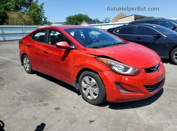 KMHDH4AEXGU501956 2016 HYUNDAI ELANTRA Red Առջևի աջ