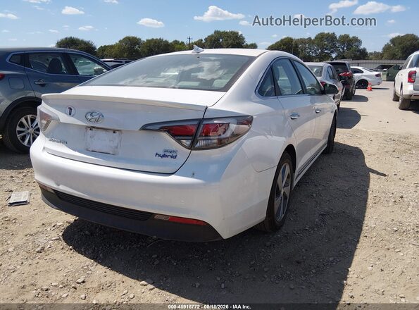 KMHE14L20HA044993 2017 HYUNDAI SONATA PLUG-IN HYBRID White უკანა მარჯვენა
