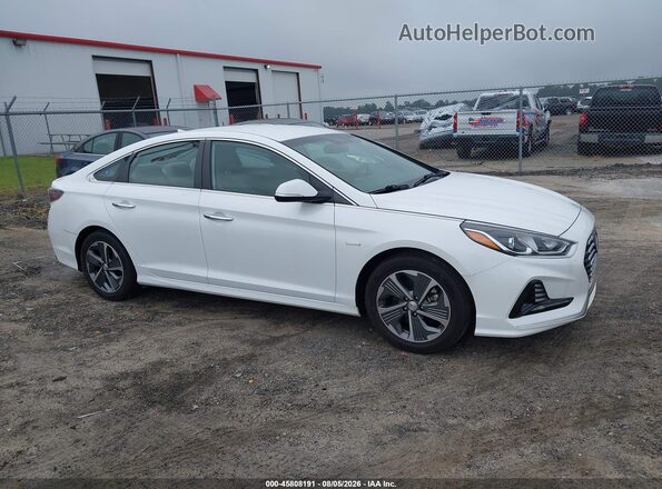 KMHE14L20KA091612 2019 HYUNDAI SONATA PLUG-IN HYBRID White Սալոնի հետևի տեսք