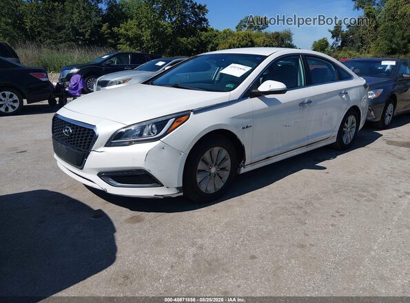 KMHE24L12GA009357 2016 HYUNDAI SONATA HYBRID White Przód lewy