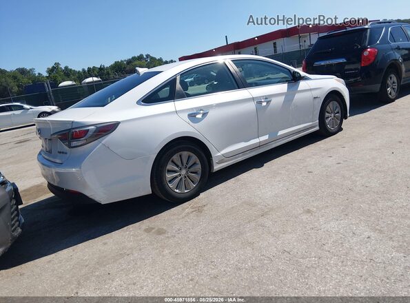 KMHE24L12GA009357 2016 HYUNDAI SONATA HYBRID White Tył prawy