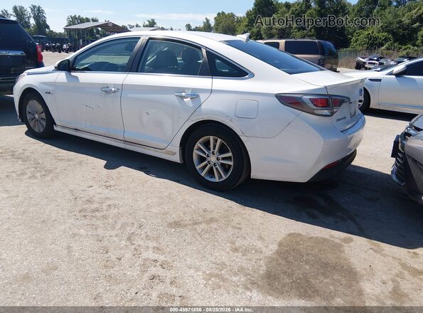 KMHE24L12GA009357 2016 HYUNDAI SONATA HYBRID White Tył lewy