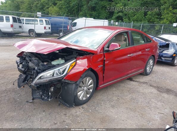 KMHE24L16GA028560 2016 HYUNDAI SONATA HYBRID Red Vista tres cuartos delantera izquierda