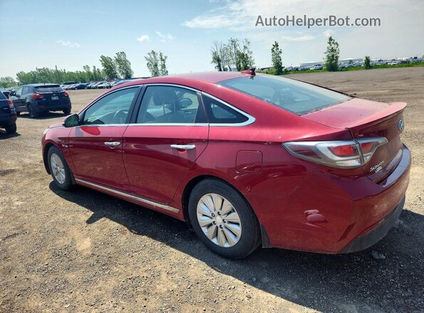 KMHE24L17GA008429 2016 HYUNDAI SONATA Red Հետևի ձախ