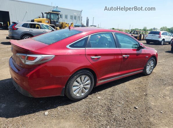 KMHE24L17GA008429 2016 HYUNDAI SONATA Red Հետևի աջ