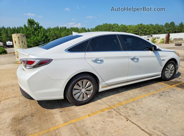 KMHE24L18GA038863 2016 HYUNDAI SONATA White Задня права чверть
