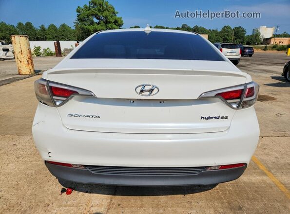 KMHE24L18GA038863 2016 HYUNDAI SONATA White Вид ззаду