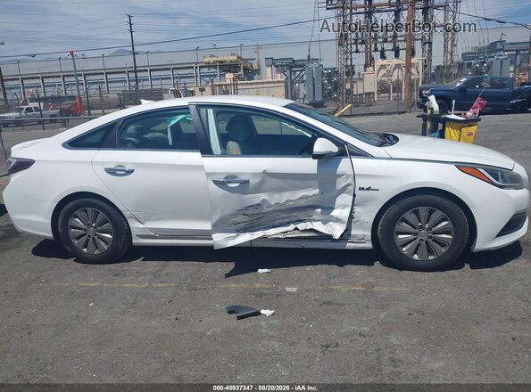 KMHE24L18GA041956 2016 HYUNDAI SONATA HYBRID White უკანა სალონის ხედი