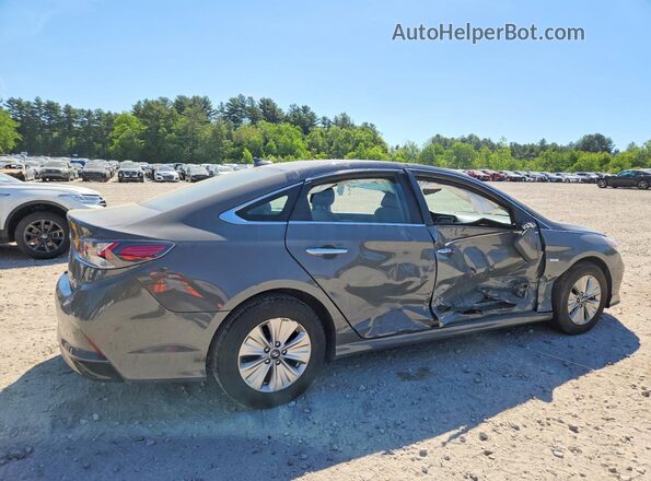 KMHE24L34KA093546 2019 HYUNDAI SONATA Gray უკანა მარჯვენა