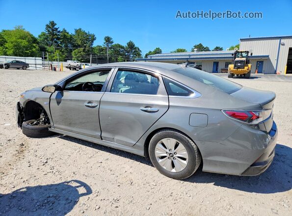 KMHE24L34KA093546 2019 HYUNDAI SONATA Gray უკანა მარცხენა
