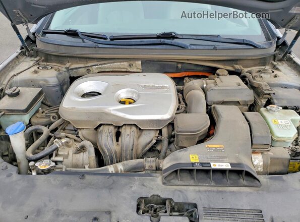 KMHE24L35KA094057 2019 HYUNDAI SONATA Gray Rear interior view