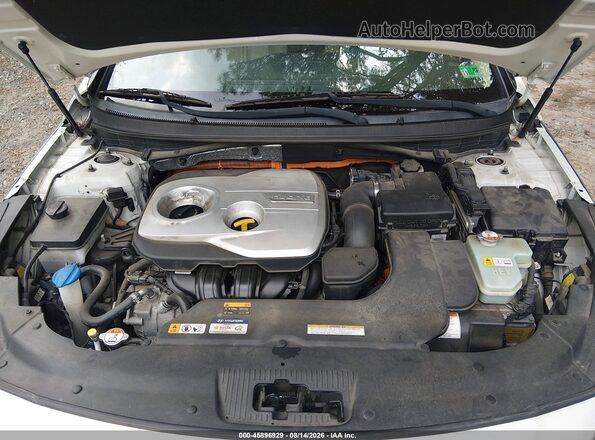 KMHE34L11GA033744 2016 HYUNDAI SONATA HYBRID White Вид ззаду