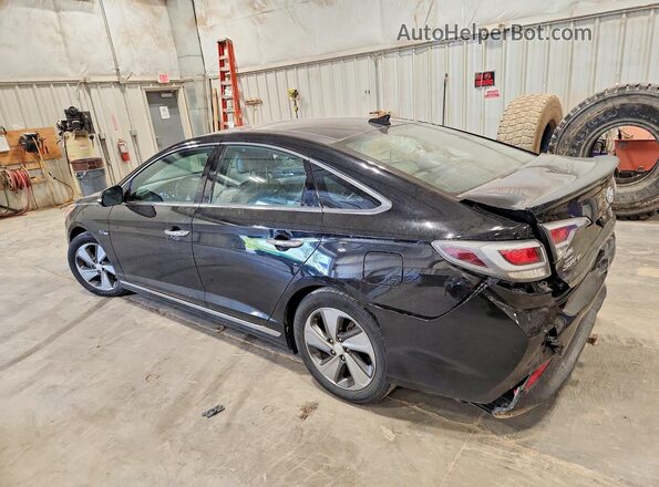 KMHE34L11GA034019 2016 HYUNDAI SONATA Black უკანა მარცხენა