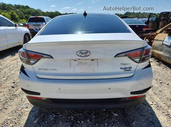 KMHE34L13GA015732 2016 HYUNDAI SONATA White Widok z tyłu