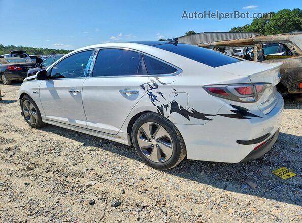 KMHE34L13GA015732 2016 HYUNDAI SONATA White Tył lewy