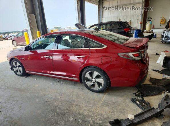 KMHE34L15GA008619 2016 HYUNDAI SONATA Burgundy Tył lewy