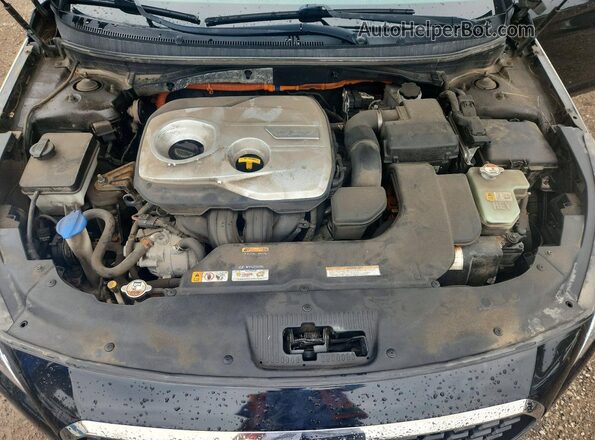 KMHE34L15GA011245 2016 HYUNDAI SONATA Black Widok wnętrza z tyłu
