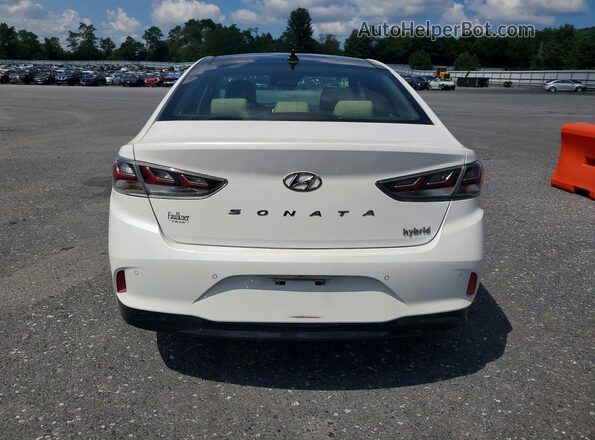 KMHE34L35KA087901 2019 HYUNDAI SONATA Белый Вид сзади