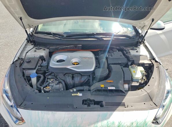 KMHE34L35KA087901 2019 HYUNDAI SONATA Белый Вид задней части салона